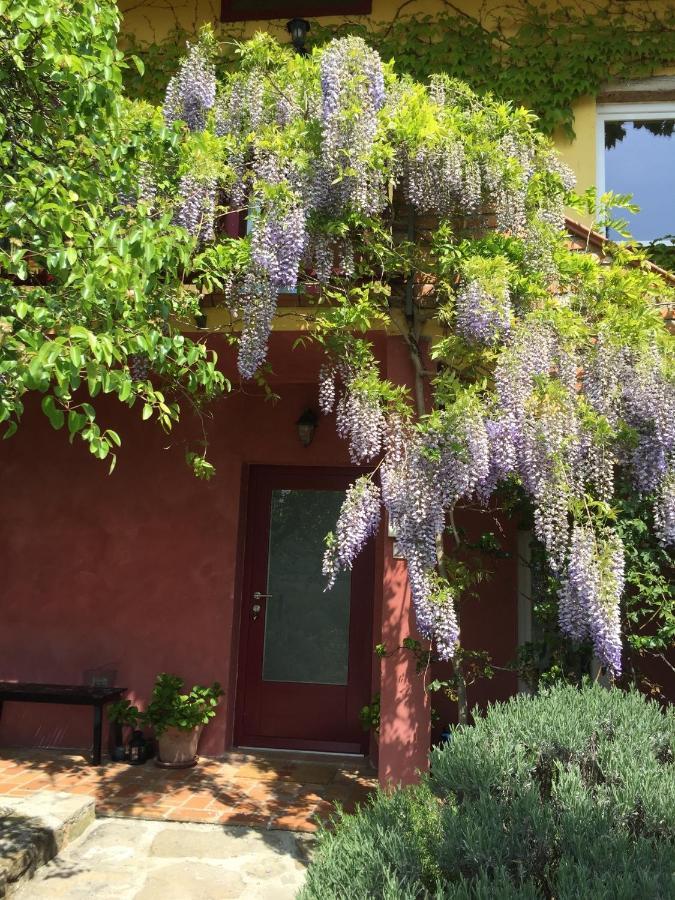 Apartma Vita Dobrovo Exterior foto