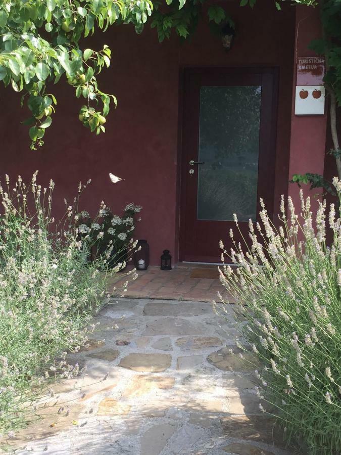 Apartma Vita Dobrovo Exterior foto