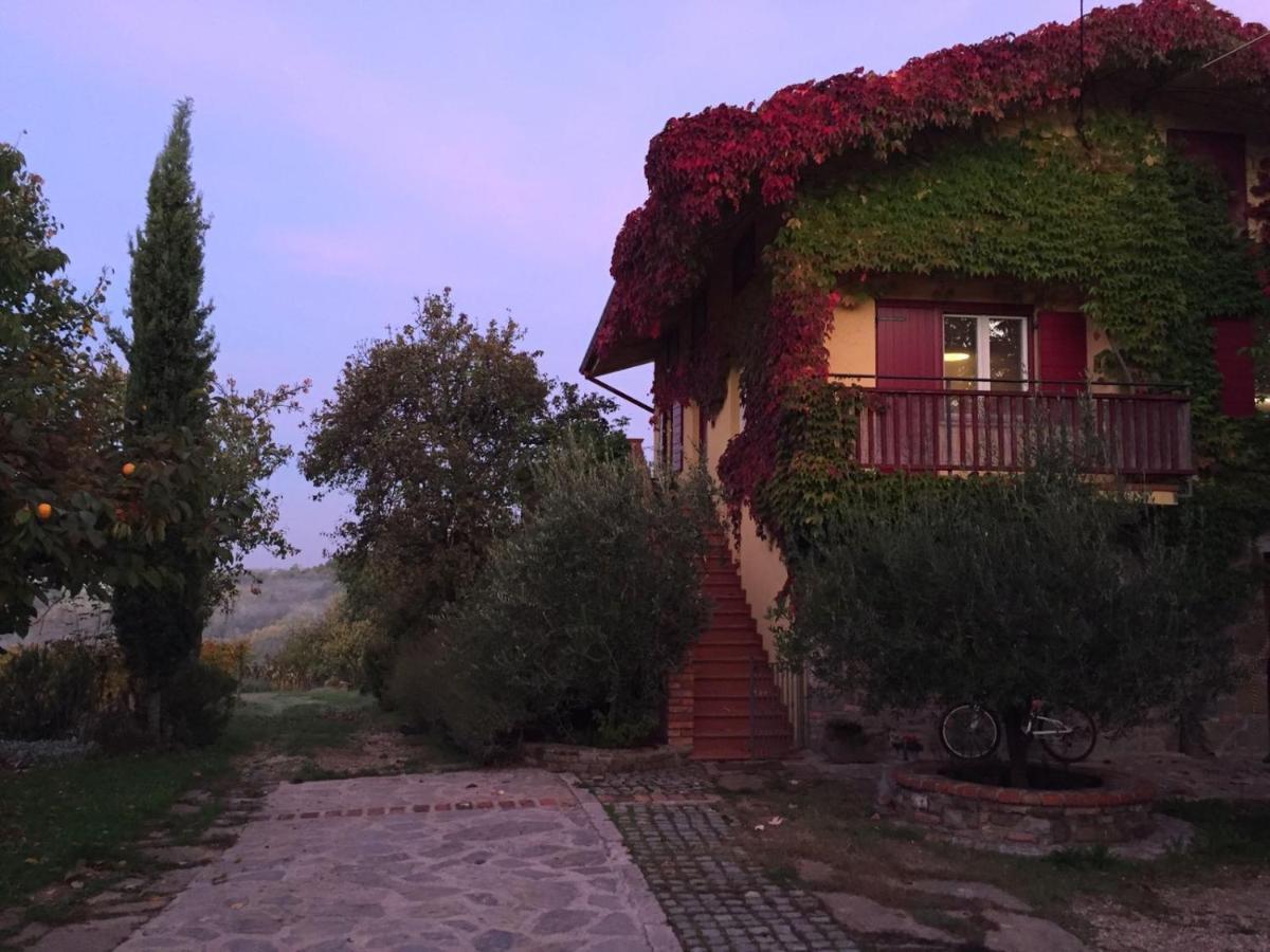 Apartma Vita Dobrovo Exterior foto